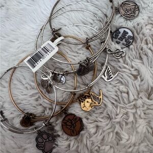 Alex and Ani various charm bracelets
